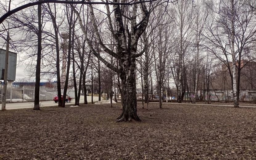 Мистический Ижевск: черное место рядом со стадионом «Зенит»