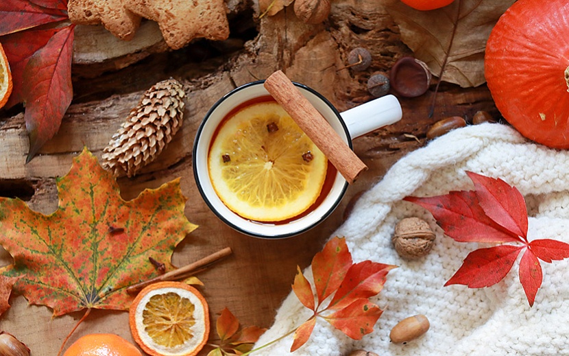 Осенние чаи – это не только возможность согреться в холодные дни, но и способ укрепить свое здоровье