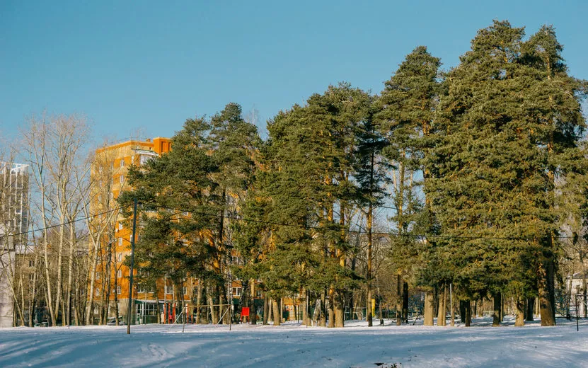 Погода в Ижевске на выходные: со 2 по 4 марта ждем тепла до +1°С и без осадков