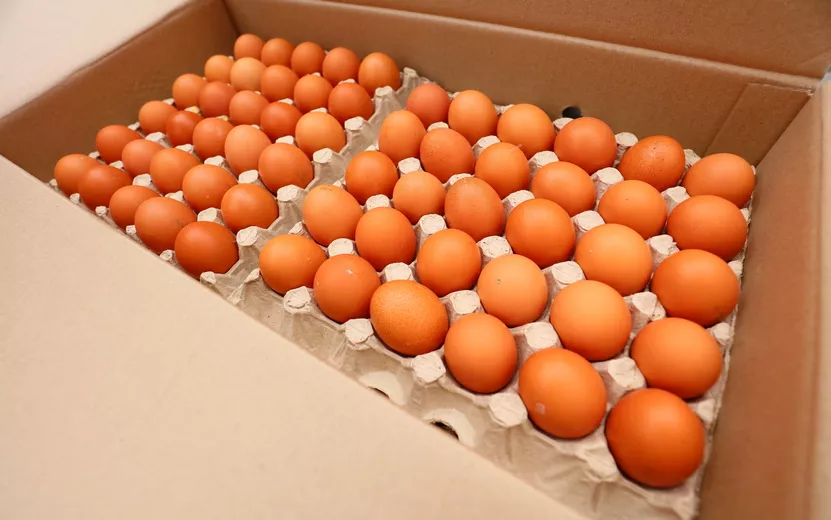 Глава Удмуртии прокомментировал резкое подорожание яиц в регионе